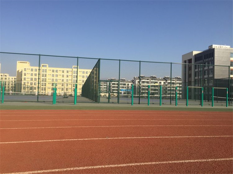 泰安一博体育最新动态